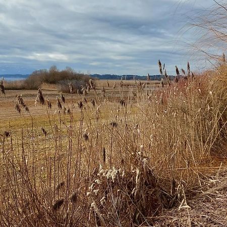 Marxhof Seebruck Am Chiemsee Зеон-Зебрукк Экстерьер фото